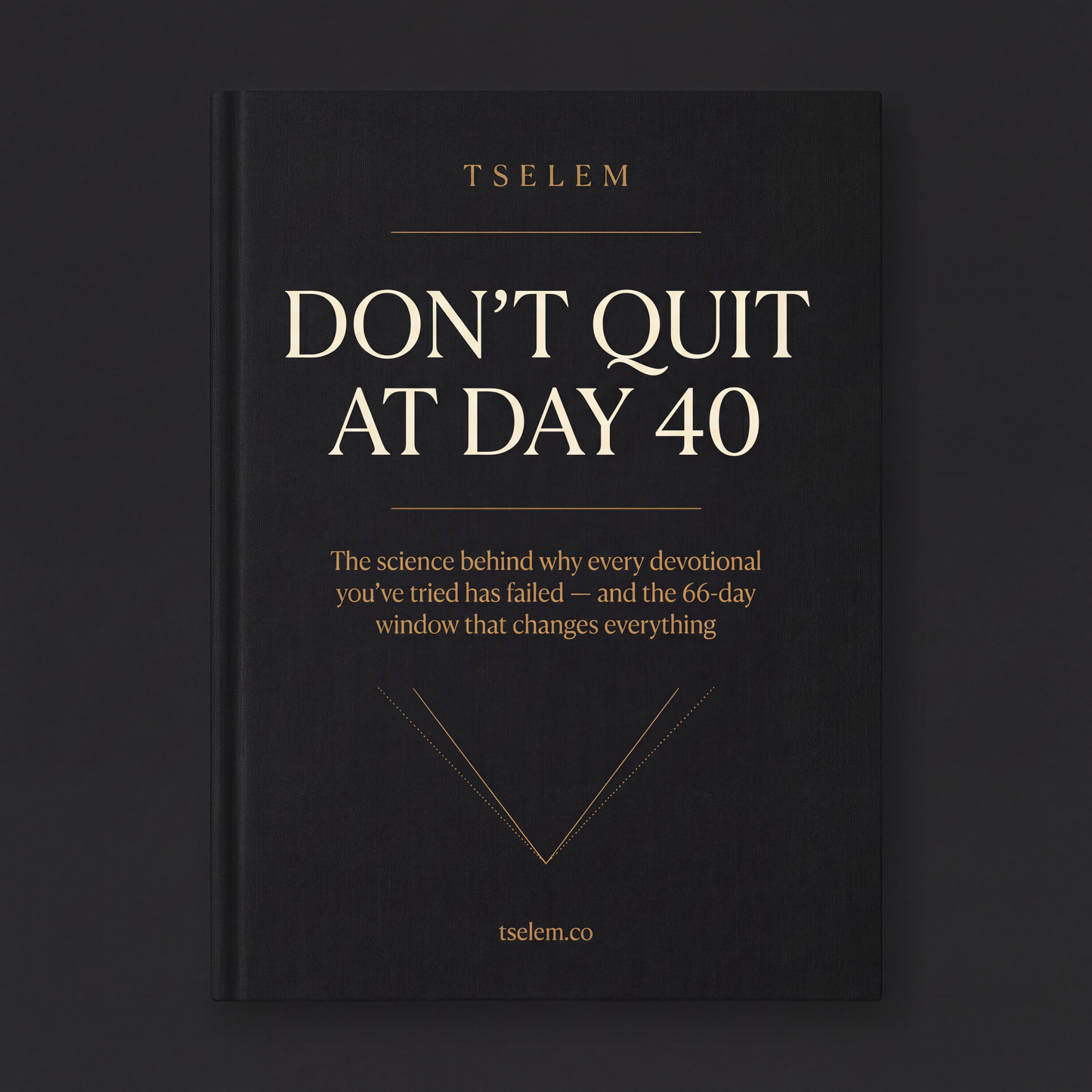 Don't quit at Day 40
